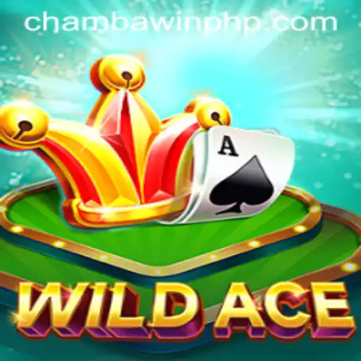 Exploring WildAce: The Thrilling World of Online Gaming